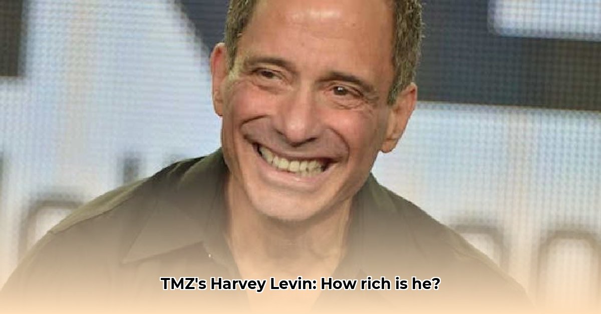 harvey-levin-s-net-worth